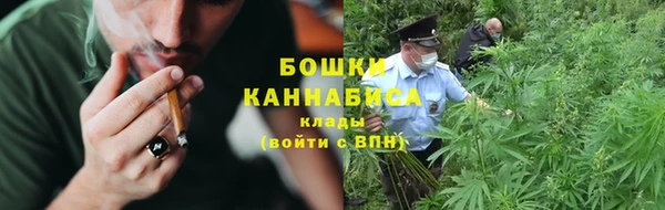 гидра Богородск