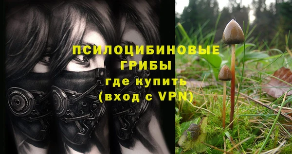 гидра Богородск