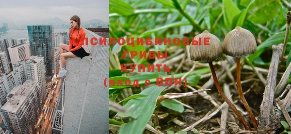 мдма Елабуга