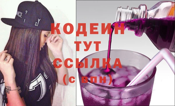 гидра Богородск