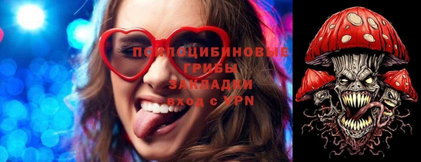 гидра Богородск
