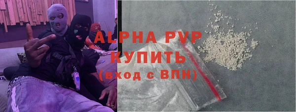 гидра Богородск