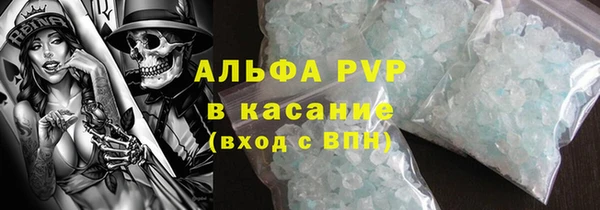 гидра Богородск