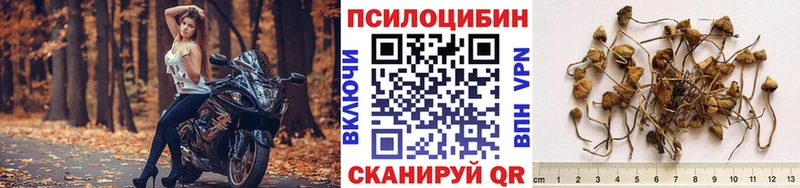 купить  сайты  Красный Кут  Галлюциногенные грибы ЛСД 